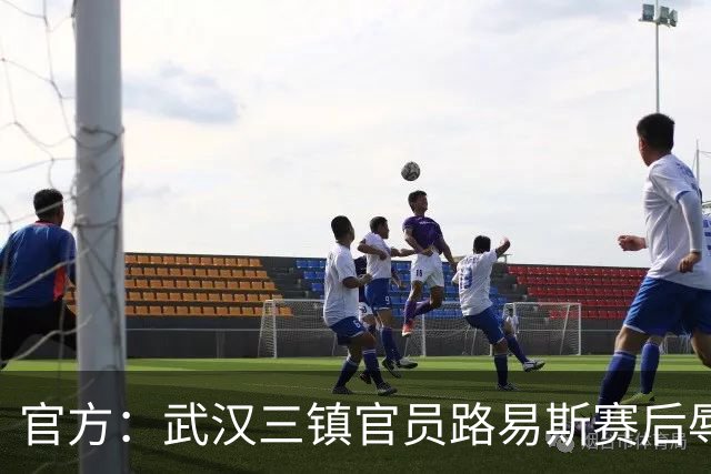 官方：武汉三镇官员路易斯赛后辱骂裁判员，被禁赛5场并罚款5万元